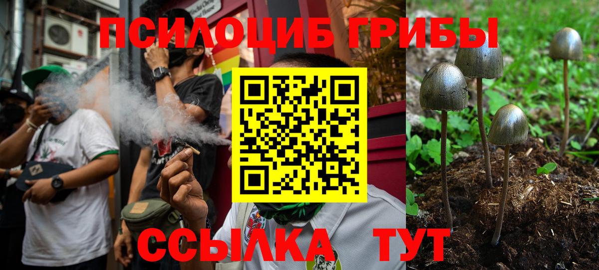 Химки  купить наркотик  Вход с VPN  Псилоцибиновые грибы MAGIC MUSHROOMS 