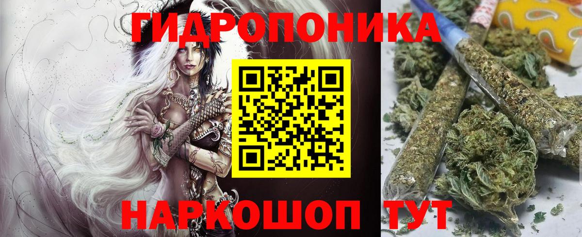 Каннабис SATIVA & INDICA Химки